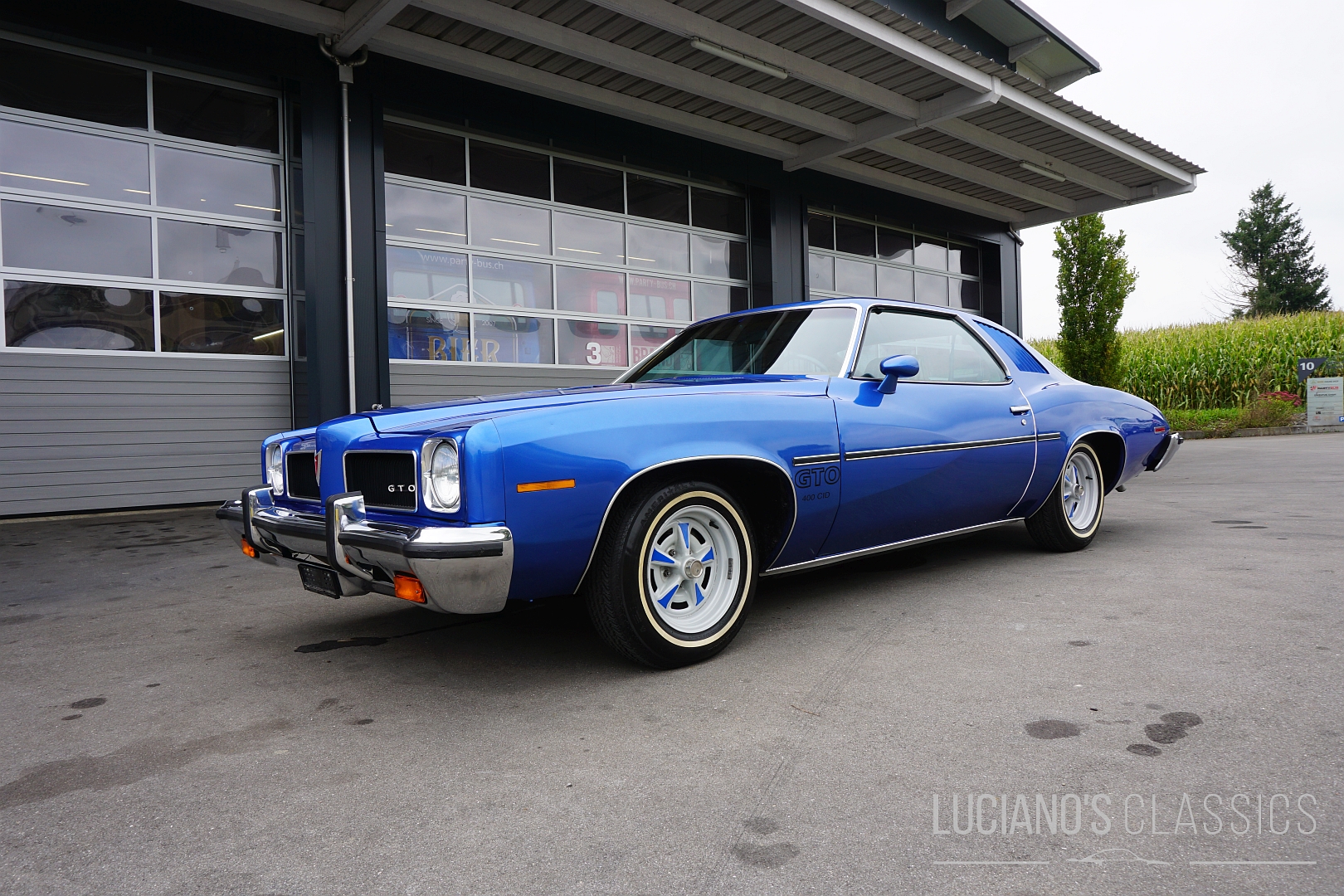 Pontiac GTO 
