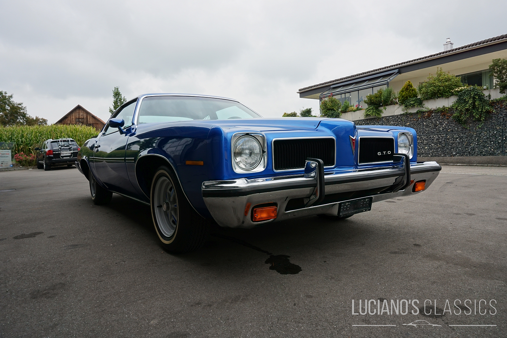 Pontiac GTO 
