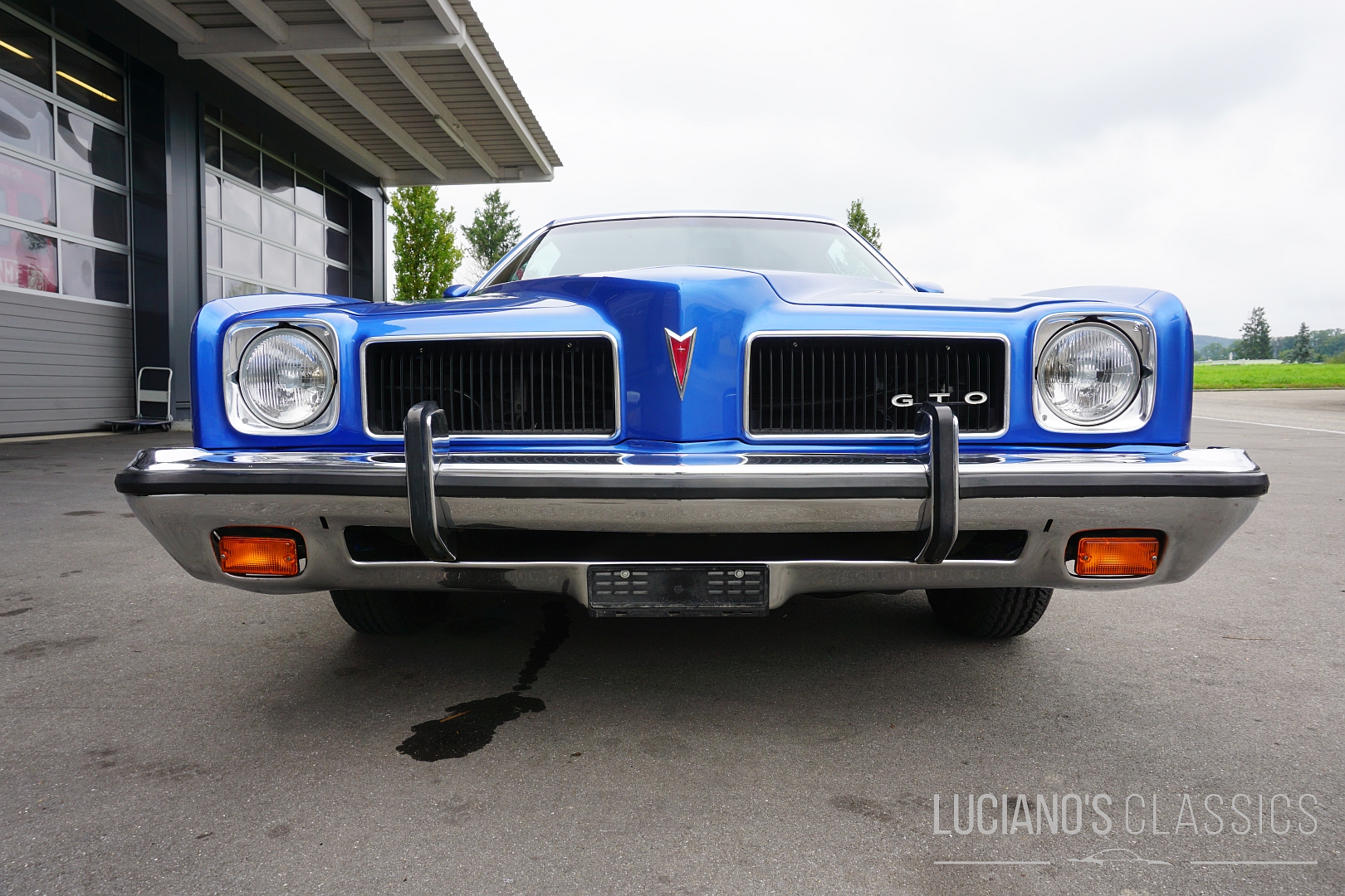 Pontiac GTO 