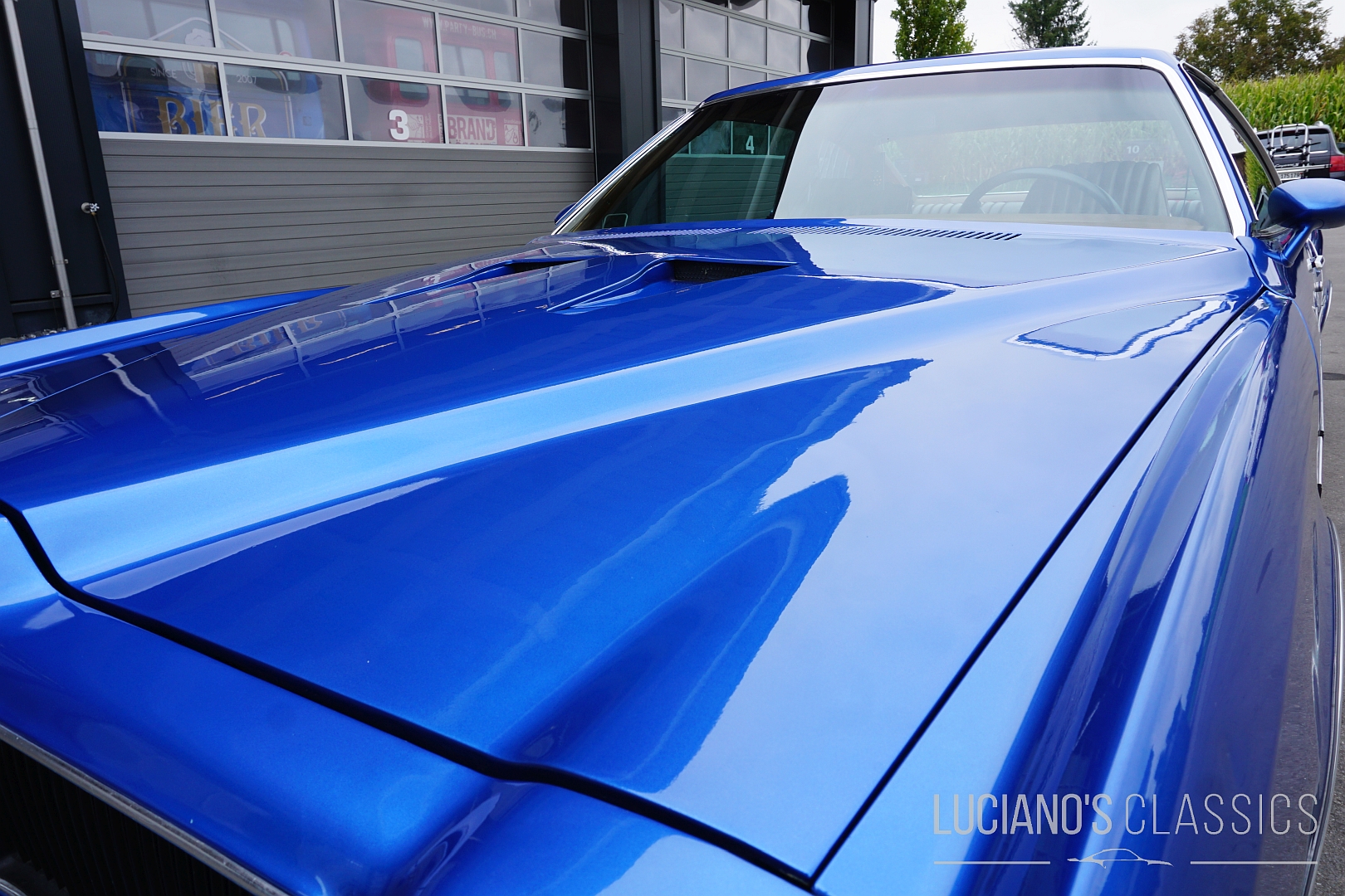 Pontiac GTO 