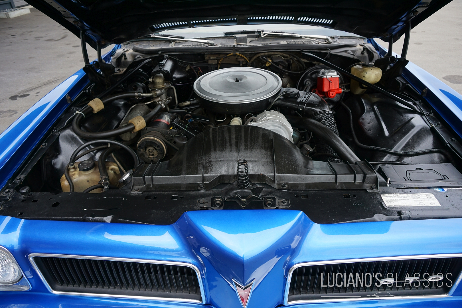 Pontiac GTO 