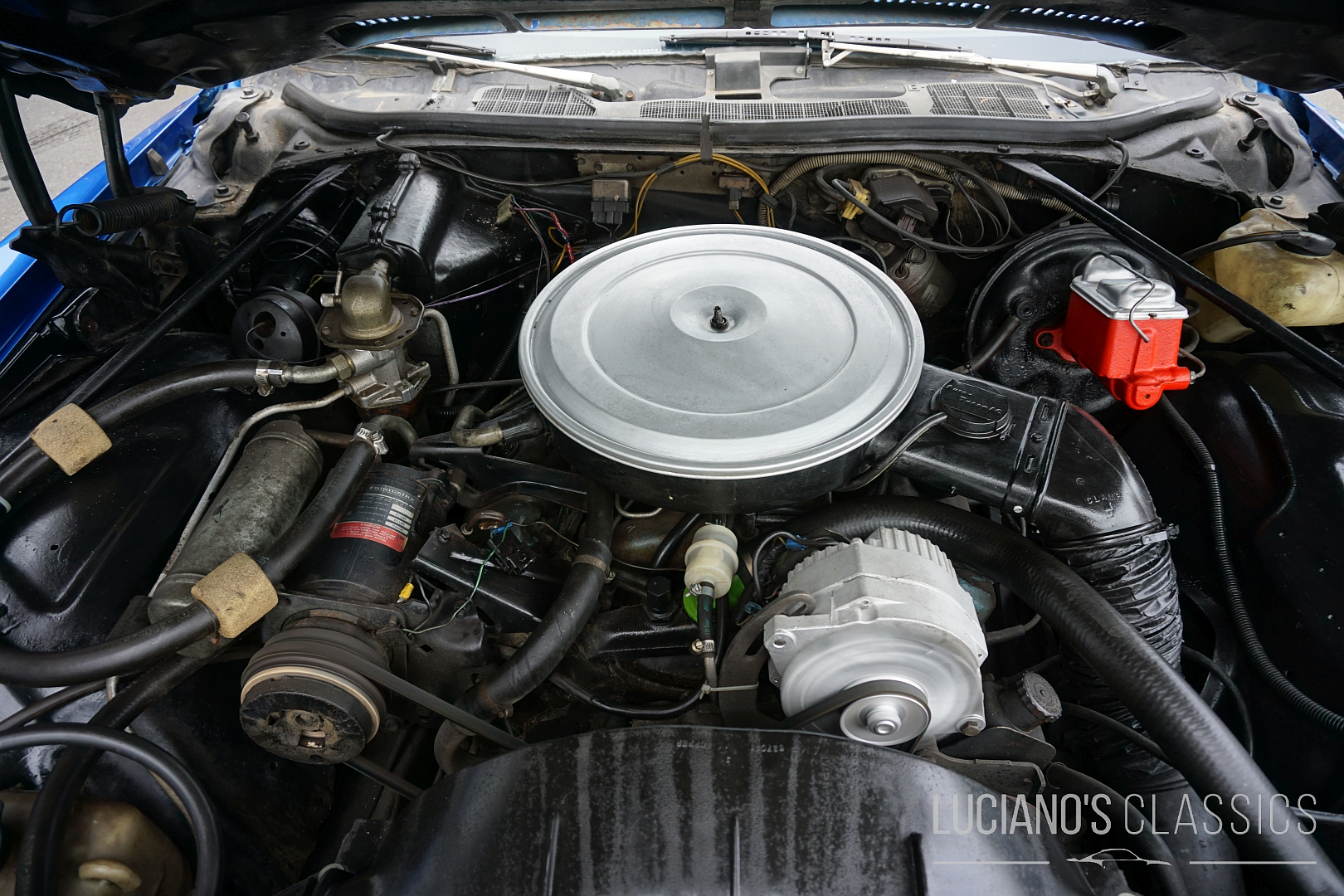 Pontiac GTO 
