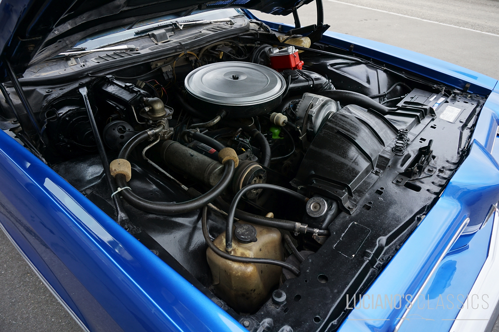 Pontiac GTO 