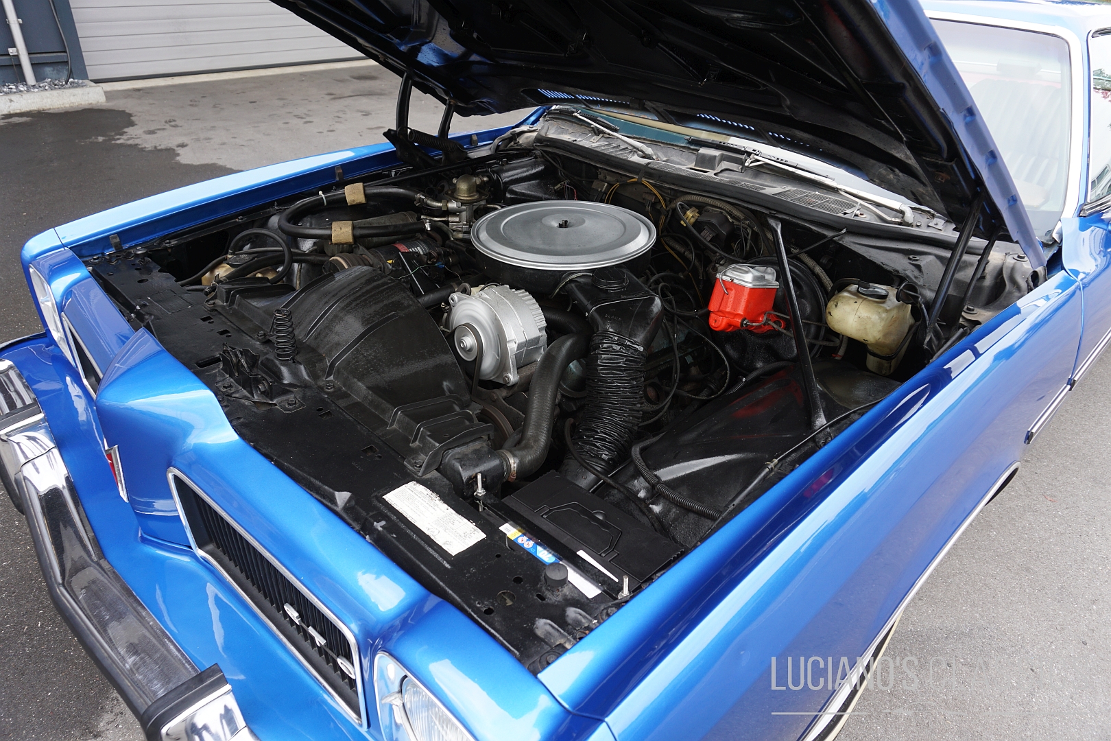 Pontiac GTO 