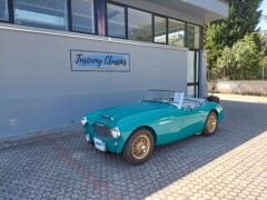 AUSTIN HEALEY BN4 100/6 