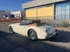 AUSTIN HEALEY 3000 MK3 BJ8