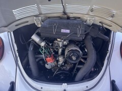 VW Maggiolone Cabrio