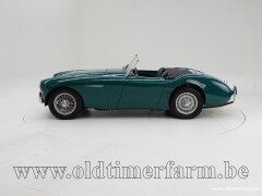 Austin Healey 100/4 BN1 \'54 