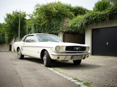 Ford Mustang T 66, 289