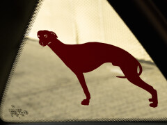 Mercedes Benz A160 Mika Hakkinen Edition 